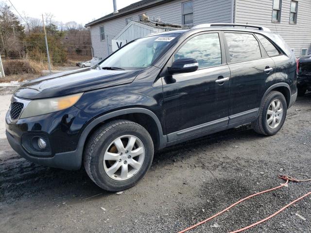 2011 KIA SORENTO BASE, 