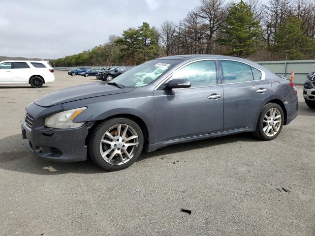 1N4AA5AP5AC845717 - 2010 NISSAN MAXIMA S GRAY photo 1