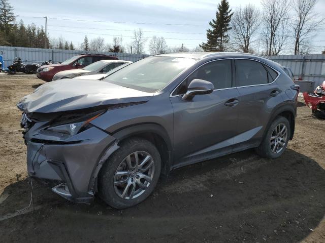 JTJGARDZ0M2238298 - 2021 LEXUS NX 300 BASE ნაცრისფერი ფოტო 1