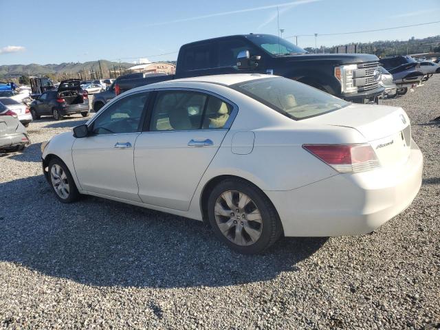 1HGCP36808A079104 - 2008 HONDA ACCORD EXL WHITE photo 2