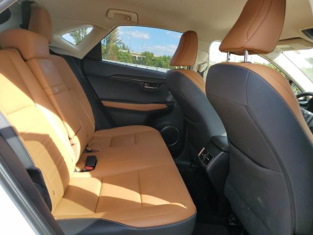 JTJDARBZ8M5031680 - 2021 LEXUS NX 300 BASE 白色 照片 11