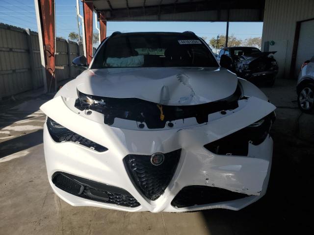 ZASPAKBN5R7D75006 - 2024 ALFA ROMEO STELVIO TI Ağ foto 5