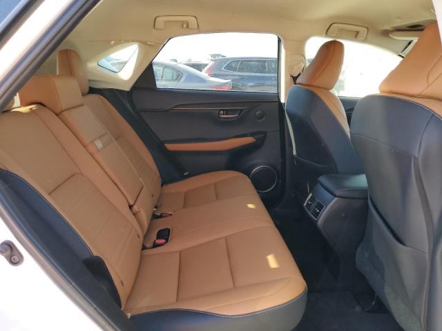 JTJDARBZ1M5025607 - 2021 LEXUS NX 300 BASE 白色 照片 11