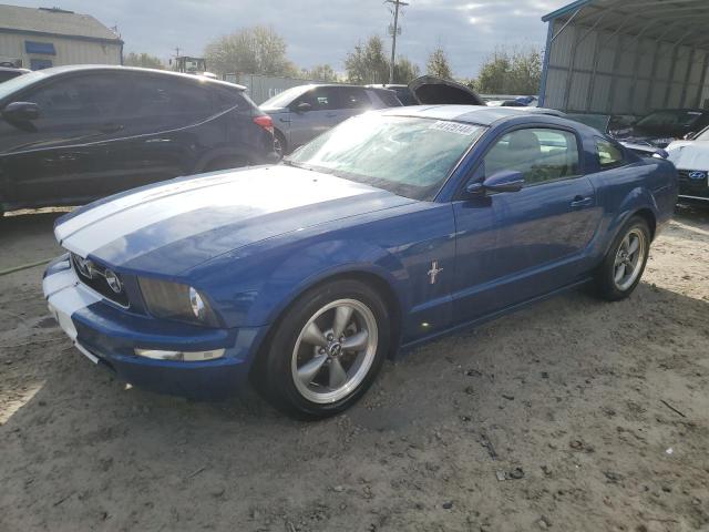 1ZVHT80N165132231 - 2006 FORD MUSTANG TWO TONE photo 1