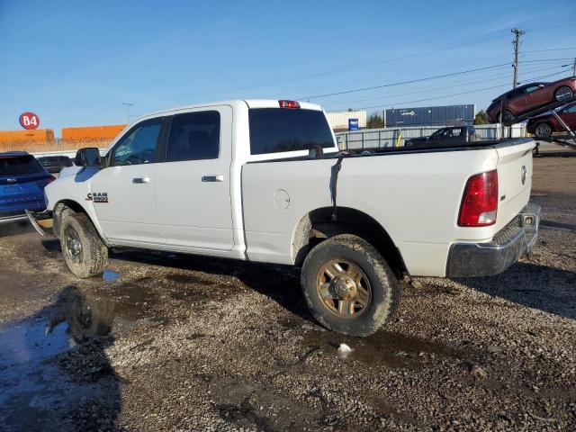 3C6UR5DLXFG623940 - 2015 RAM 2500 SLT თეთრი ფოტო 2