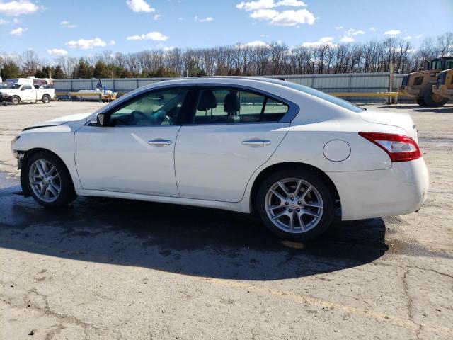 1N4AA5AP3BC813351 - 2011 NISSAN MAXIMA S WHITE photo 2