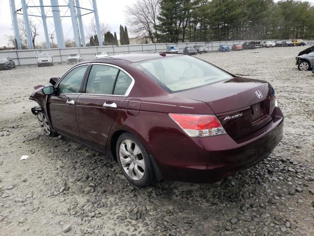 5KBCP3F87AB013226 - 2010 HONDA ACCORD EXL BURGUNDY photo 2