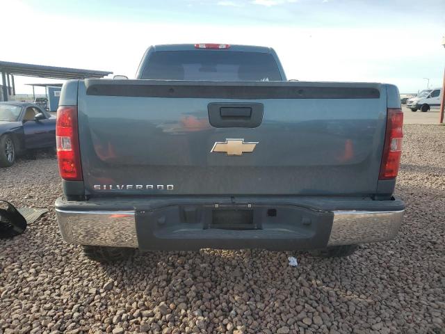 1GCPCPEX3AZ284404 - 2010 CHEVROLET SILVERADO C1500 GRAY photo 6