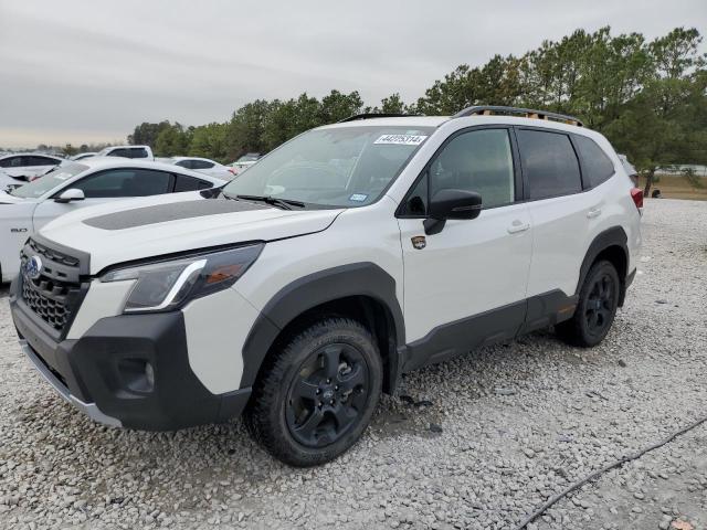 2023 SUBARU FORESTER WILDERNESS, 