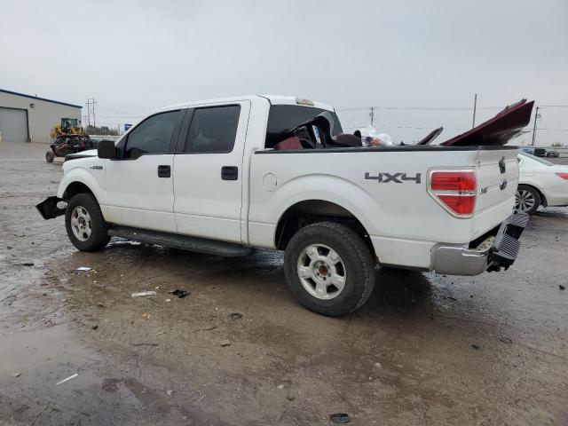 1FTFW1EV7AKB55881 - 2010 FORD F150 SUPERCREW WHITE photo 2