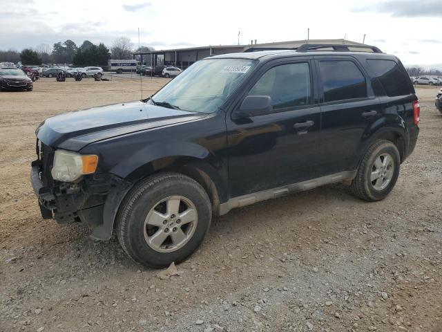 2009 FORD ESCAPE XLT, 