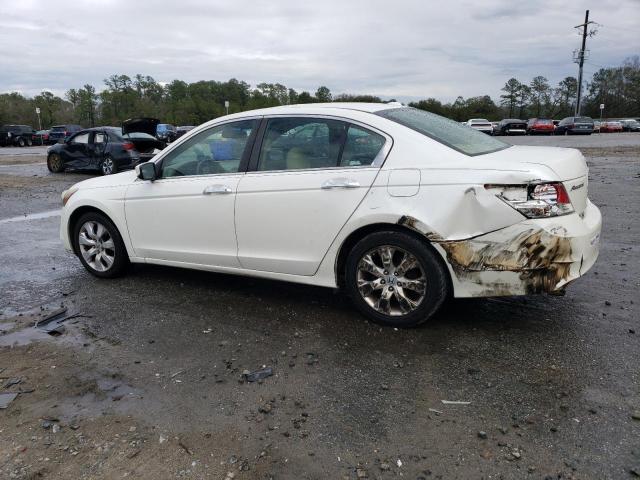 5KBCP36889B502195 - 2009 HONDA ACCORD EXL WHITE photo 2