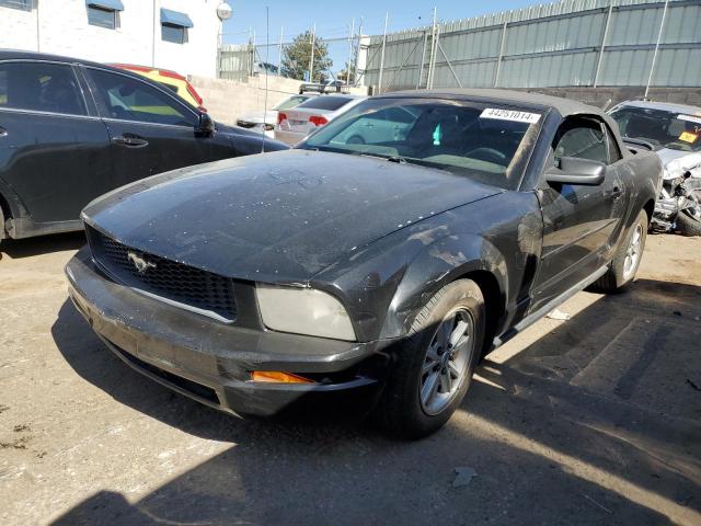 1ZVFT84N965206206 - 2006 FORD MUSTANG BLACK photo 1