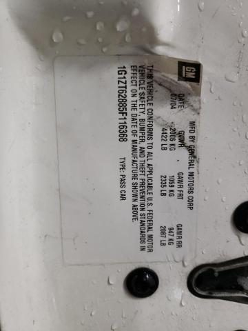 1G1ZT62885F116368 - 2005 CHEVROLET MALIBU MAXX LS 白色 照片 12