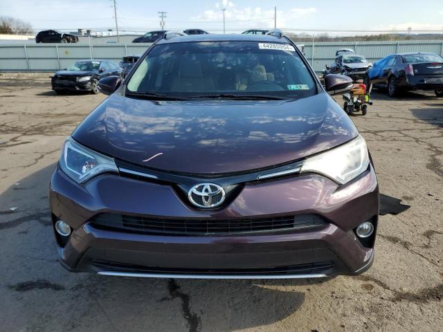 2T3RFREV8GW469728 - 2016 TOYOTA RAV4 XLE PURPLE photo 5