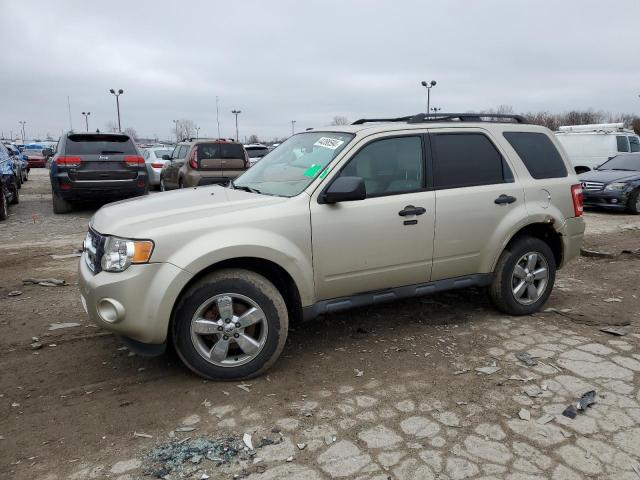 1FMCU0DG4CKB64672 - 2012 FORD ESCAPE XLT GOLD photo 1