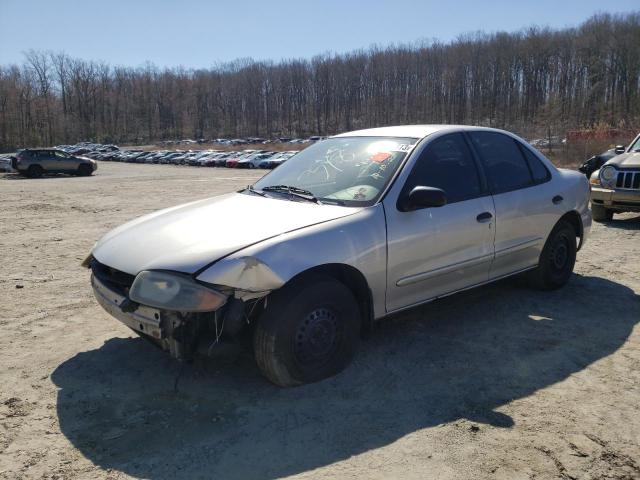 1G1JC52F947119794 - 2004 CHEVROLET CAVALIER GRAY photo 1