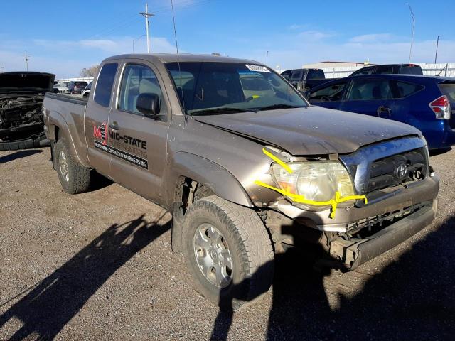 5TEUU42NX5Z106047 - 2005 TOYOTA TACOMA ACCESS CAB GOLD photo 4