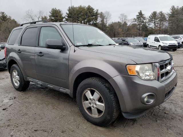 1FMCU9D7XAKB29233 - 2010 FORD ESCAPE XLT GRAY photo 4