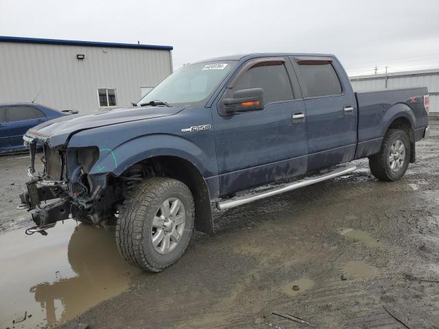 1FTFW1EF4EFA96988 - 2014 FORD F150 SUPERCREW BLUE photo 1