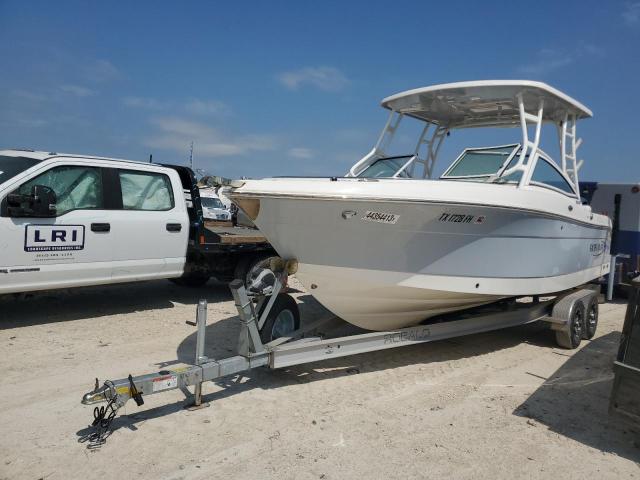 ROBD0210D919 - 2019 ROBA BOAT WHITE photo 2