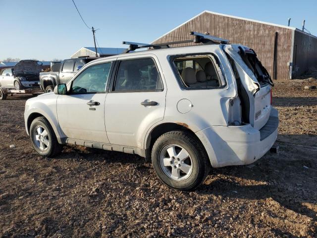 1FMCU9DG5BKC25384 - 2011 FORD ESCAPE XLT WHITE photo 2