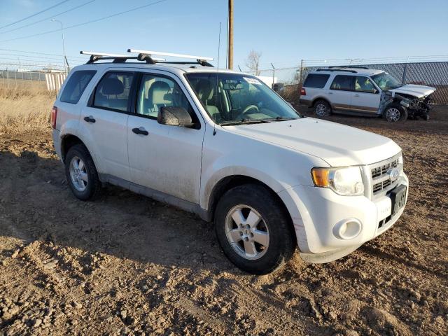 1FMCU9DG5BKC25384 - 2011 FORD ESCAPE XLT WHITE photo 4