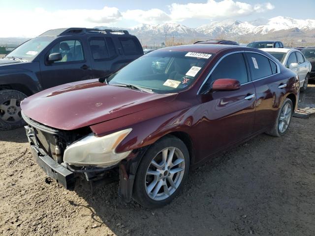 1N4AA5AP8DC836739 - 2013 NISSAN MAXIMA S RED photo 1