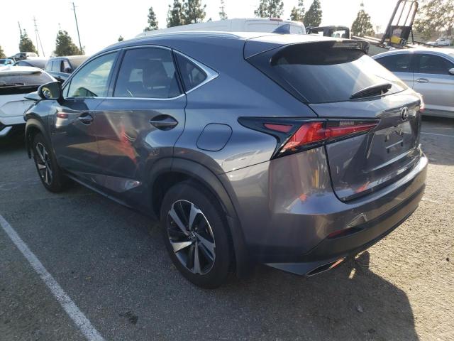 JTJGARBZ8M2197227 - 2021 LEXUS NX 300 BASE Szary zdjęcie 2