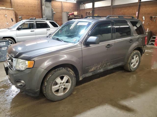 2010 FORD ESCAPE XLT, 