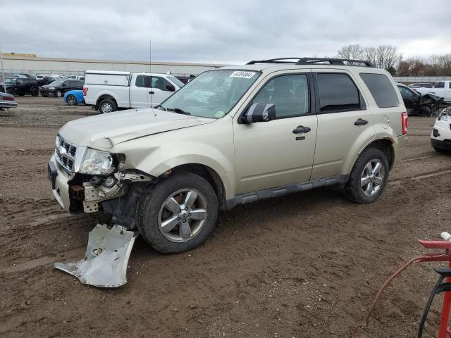 2010 FORD ESCAPE XLT, 