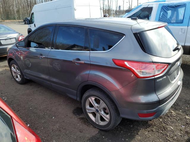 1FMCU0GXXEUA86403 - 2014 FORD ESCAPE SE GRAY photo 2