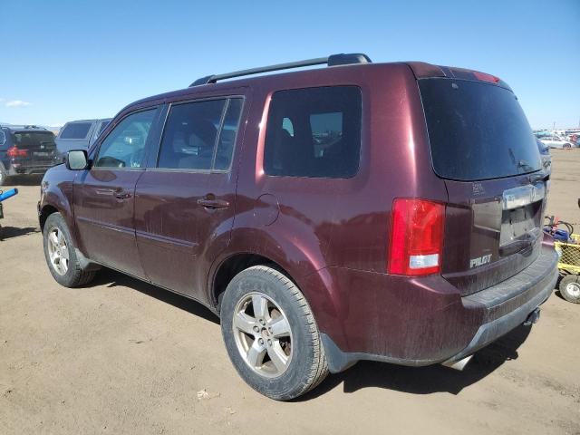 5FNYF48429B010558 - 2009 HONDA PILOT EX BURGUNDY photo 2