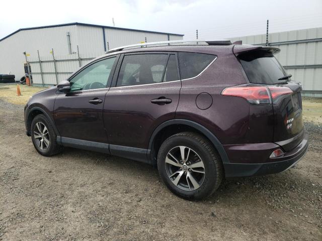 2T3RFREV7HW669338 - 2017 TOYOTA RAV4 XLE PURPLE photo 2