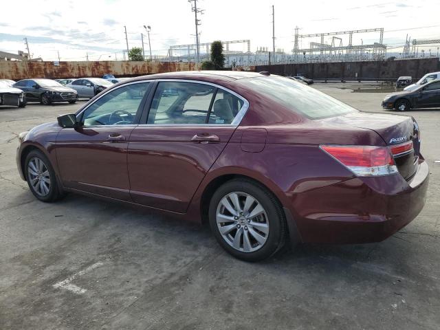 1HGCP2F89BA128950 - 2011 HONDA ACCORD EXL BURGUNDY photo 2