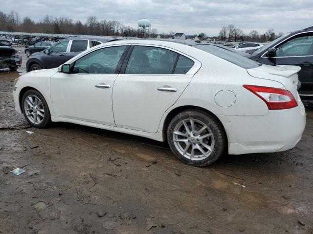 1N4AA5AP2BC862637 - 2011 NISSAN MAXIMA S WHITE photo 2