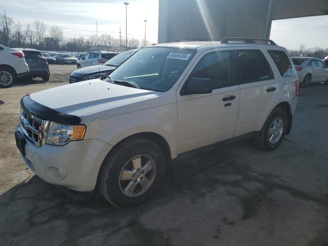 2011 FORD ESCAPE XLT, 