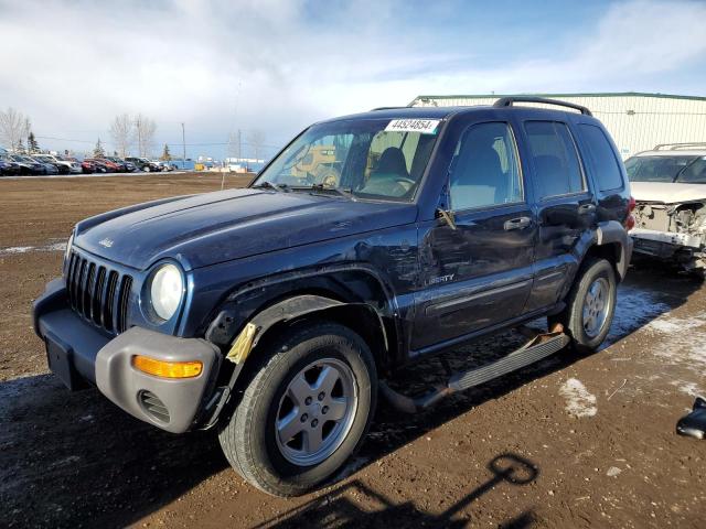 1J4GL48K64W153353 - 2004 JEEP LIBERTY SPORT BLUE photo 1