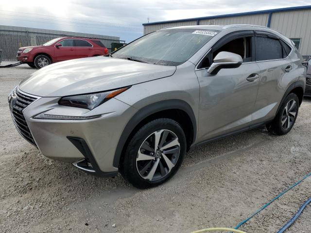 JTJYARBZ4K2122249 - 2019 LEXUS NX 300 BASE ბეჟი ფოტო 1