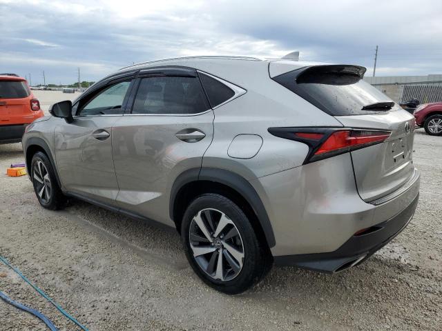 JTJYARBZ4K2122249 - 2019 LEXUS NX 300 BASE ბეჟი ფოტო 2