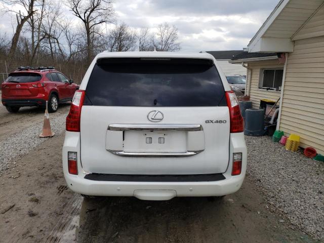 JTJBM7FX8D5061144 - 2013 LEXUS GX 460 WHITE photo 6