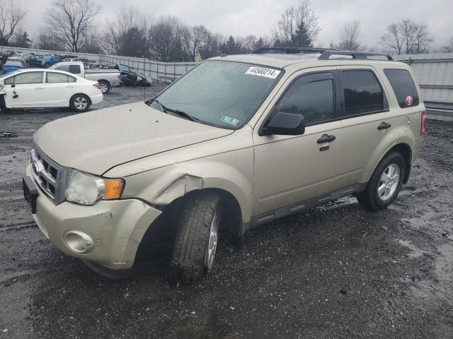 2012 FORD ESCAPE XLT, 