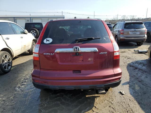 5J6RE4H54AL042505 - 2010 HONDA CR-V EX RED photo 6