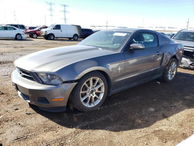 1ZVBP8AN3A5158153 - 2010 FORD MUSTANG GRAY photo 1