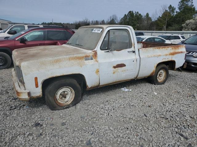 CCD146A153071 - 1976 CHEVROLET PK WHITE photo 1