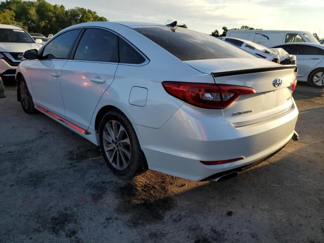 5NPE34AF0FH098689 - 2015 HYUNDAI SONATA SPORT WHITE photo 2