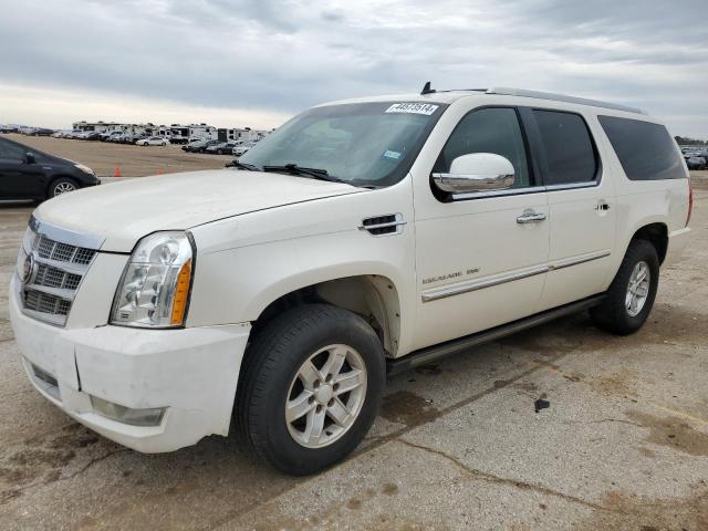 2011 CADILLAC ESCALADE ESV PLATINUM, 