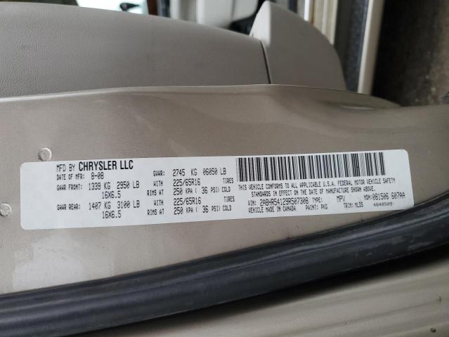 2A8HR54129R507308 - 2009 CHRYSLER TOWN & COU TOURING თაფლისფერი ფოტო 13