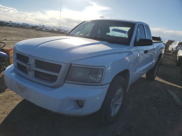 1D7CE3BK6AS263880 - 2010 DODGE DAKOTA SXT WHITE photo 1