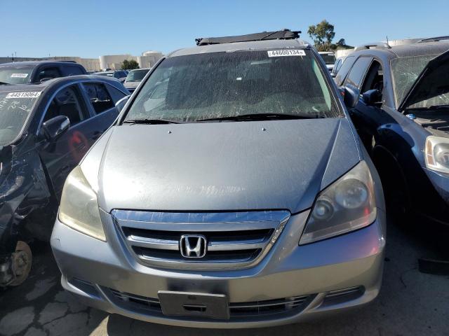 5FNRL38445B016475 - 2005 HONDA ODYSSEY EX GRAY photo 5